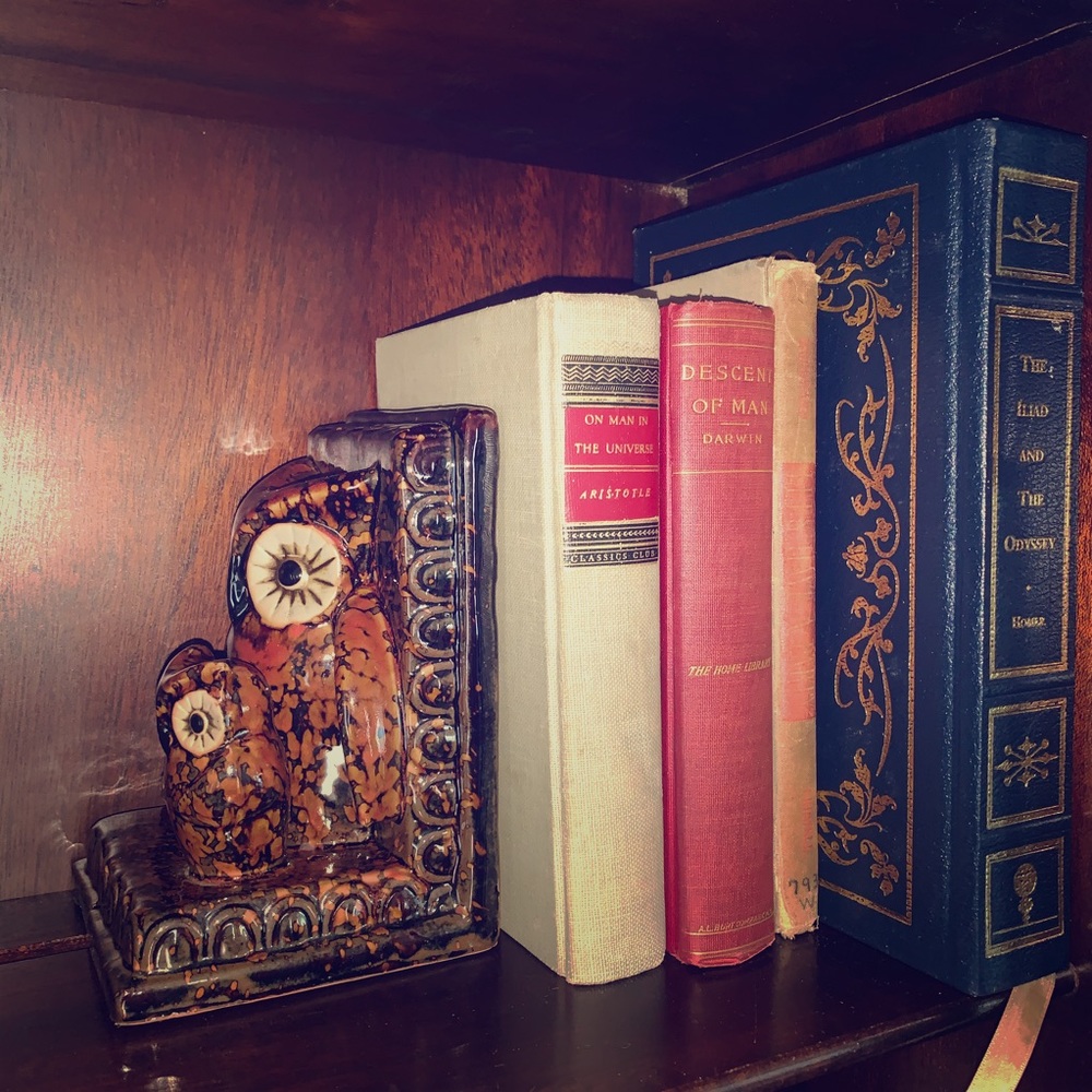 Ceramic Owl Bookend owl 🦉